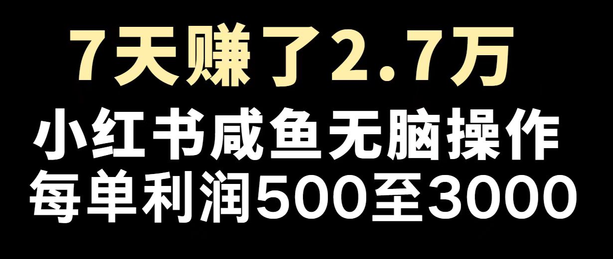 （14183期）最赚钱项目之一，2025爆火，逆风翻盘！-赚钱网