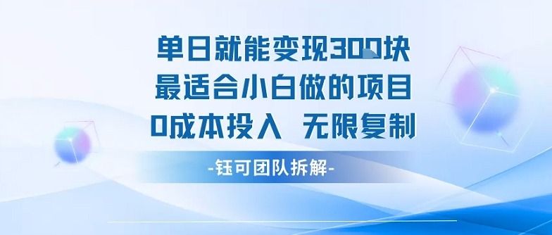 单日就能变现3张最适合小白做的项目0成本投入 无限复制-赚钱网