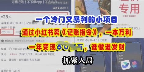一个冷门需求，通过小红书卖《记账指令》，一本万利，谁做谁发，抓紧入局-赚钱网