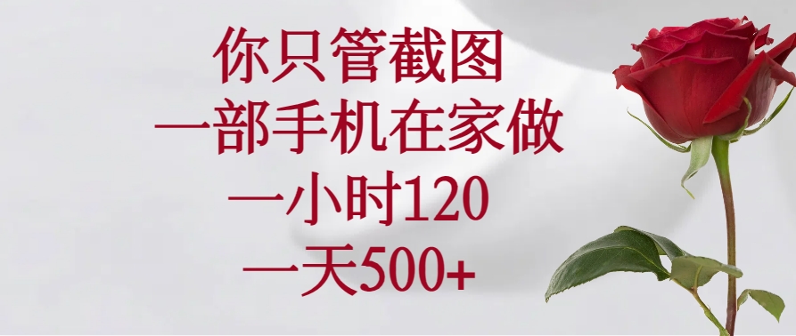 （14248期）你只管截图，一部手机在家做，一小时120，一天500+-赚钱网