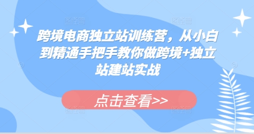 跨境电商独立站训练营，从小白到精通手把手教你做跨境+独立站建站实战-赚钱网