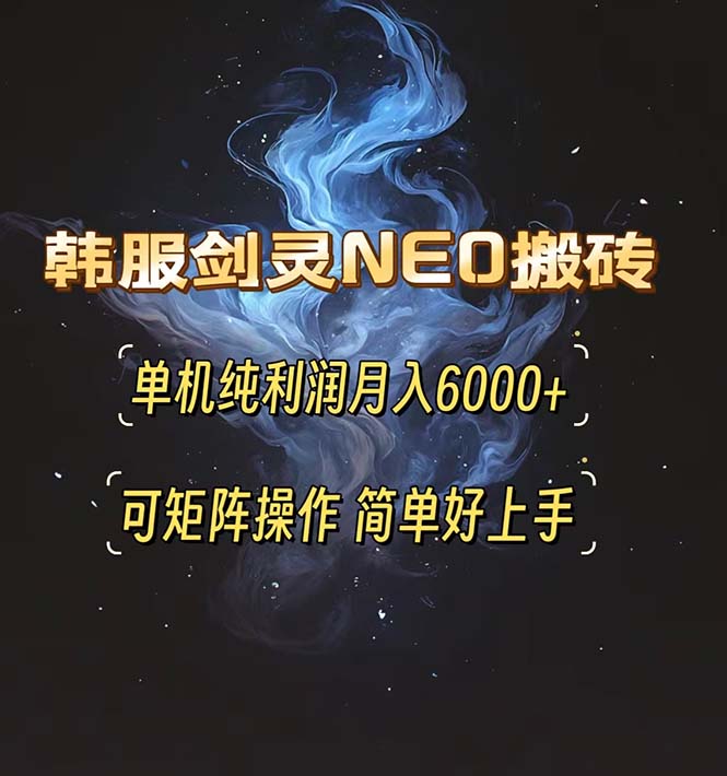 （13435期）韩服剑灵NEO搬砖攻略，单机纯利润月入6000+ 可矩阵操作，简单好上手。-赚钱网