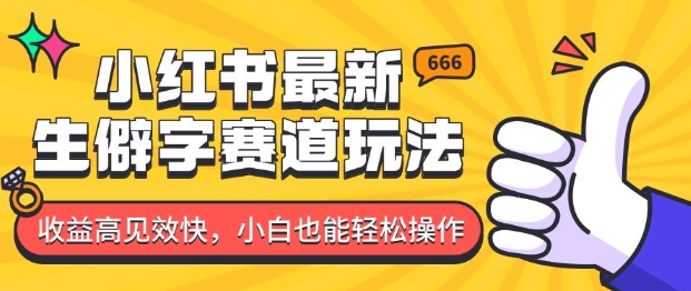 小红书最新生僻字赛道玩法，收益高见效快，小白也能轻松操作-赚钱网