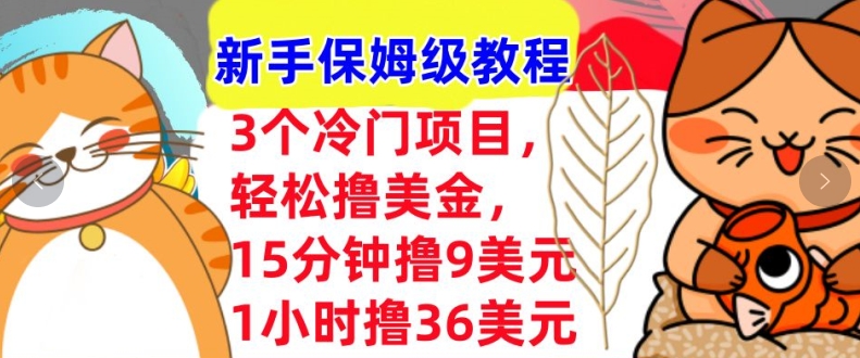 3个冷门项目，轻松撸美刀，1小时撸36刀，新手保姆级教程-赚钱网