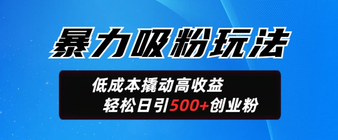 暴力吸粉玩法，日引500+精准创业粉，日变现轻松多张-赚钱网