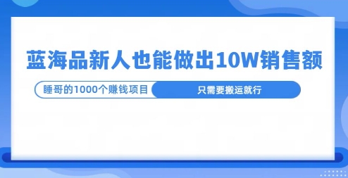 这个蓝海品，新号也能卖出10W的销售额，年底疯狂怼量就能出结果-赚钱网