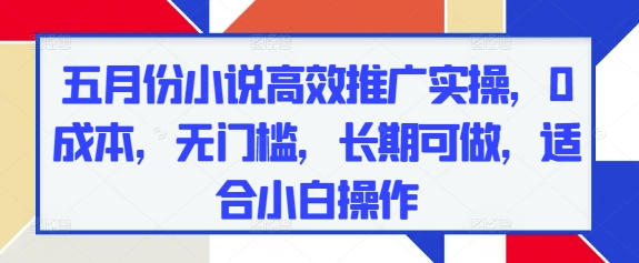 五月份小说高效推广实操，0成本，无门槛，长期可做，适合小白操作-赚钱网