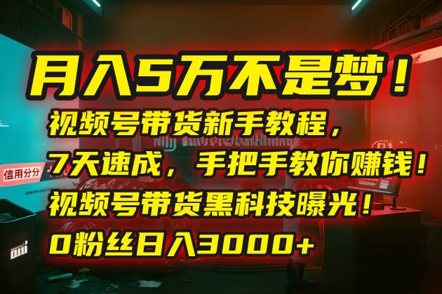 （15595期）月入5万不是梦！视频号带货新手教程，7天速成，手把手教你赚钱！视频号…-赚钱网