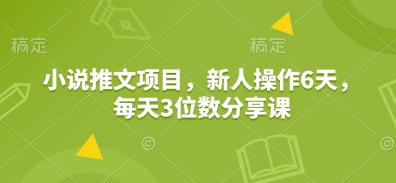 小说推文项目，新人操作6天，每天3位数分享课-赚钱网