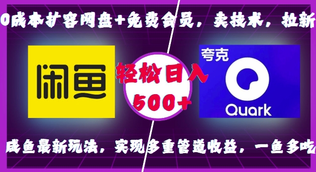 0成本扩容网盘+免费会员，卖技术，拉新，咸鱼最新玩法，实现多重管道收益，一鱼多吃，轻松日入500+-赚钱网
