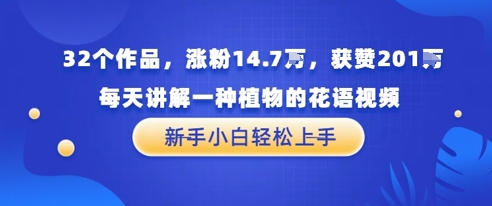 32个作品，涨粉14.7W，获赞201W，每天讲解一种植物的花语视频，无需任何技巧，新手小白轻松上手-赚钱网