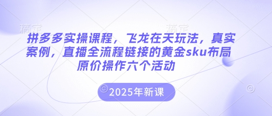 拼多多实操课程，飞龙在天玩法，真实案例，直播全流程链接的黄金sku布局原价操作六个活动-赚钱网