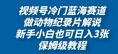 视频号冷门蓝海赛道，做动物纪录片解说，新手小白也日入3张，保姆级教程-赚钱网