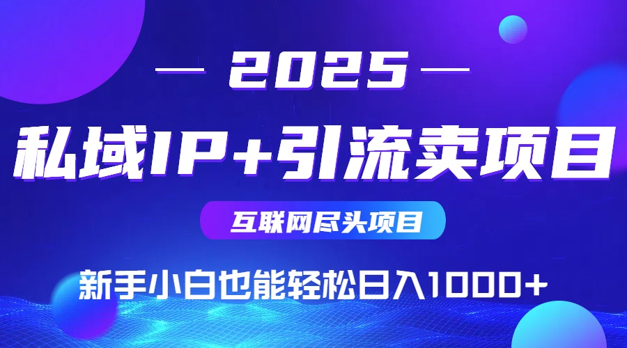 （14613期）私域IP+卖项目，普通人小白也能轻松实现日入1000+-赚钱网
