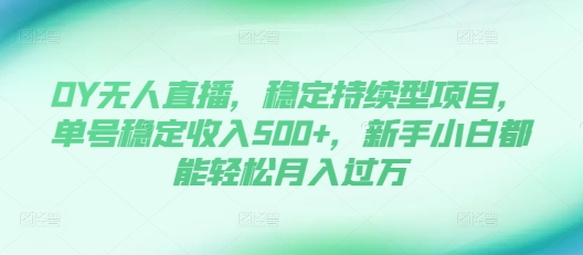 DY无人直播，稳定持续型项目，单号稳定收入500+，新手小白都能轻松月入过万【揭秘】-赚钱网