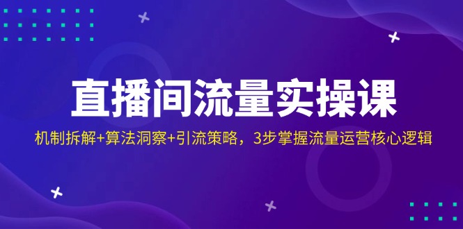 （14122期）直播间流量实操课：机制拆解+算法洞察+引流策略，3步掌握流量运营核心逻辑-赚钱网