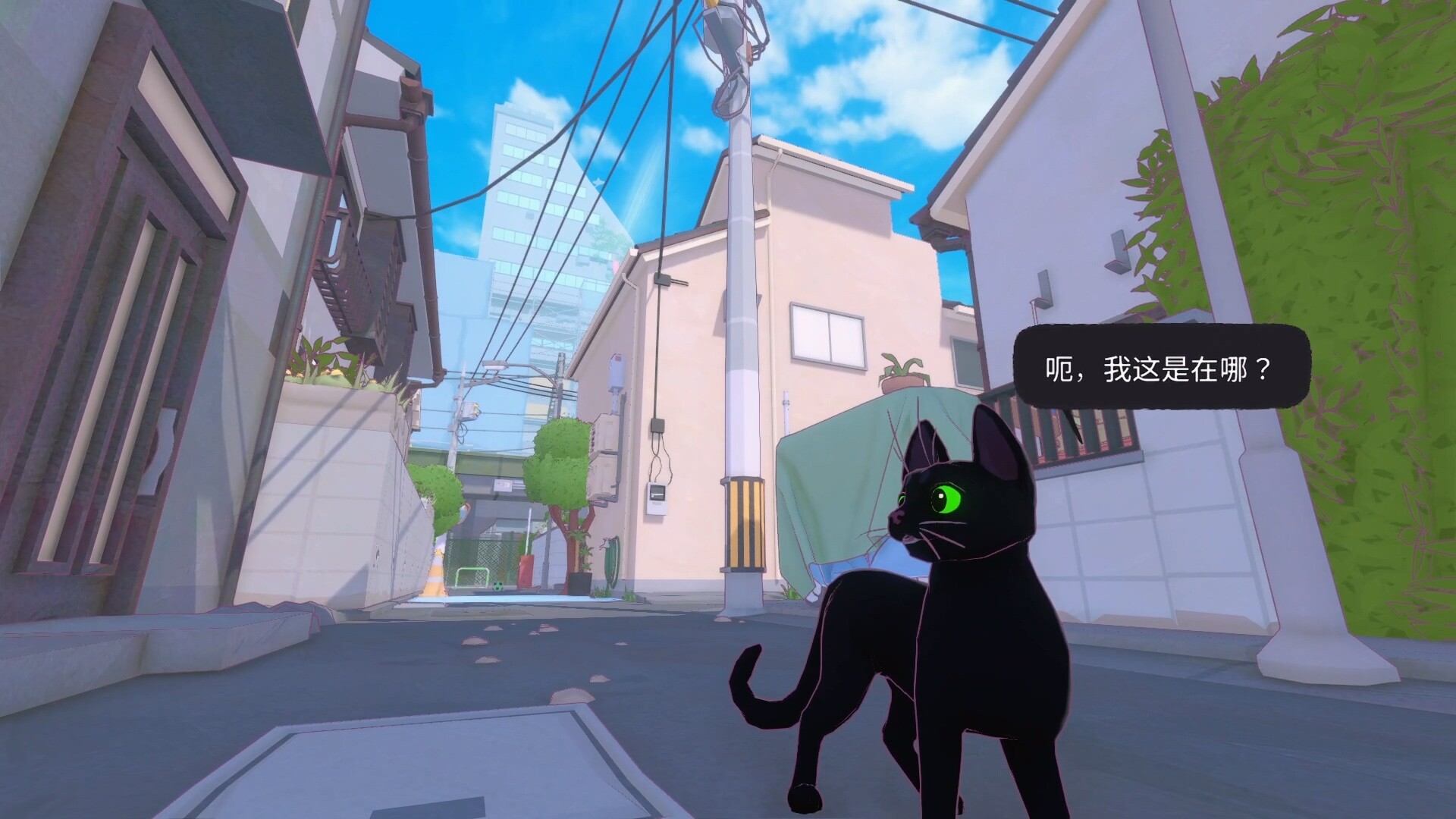 小猫咪大城市/Little Kitty, Big City-赚钱网