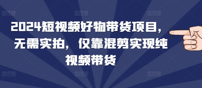 2024短视频好物带货项目，无需实拍，仅靠混剪实现纯视频带货-赚钱网