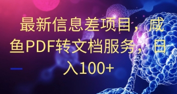 最新信息差项目，咸鱼PDF转文档服务，日入100+-赚钱网