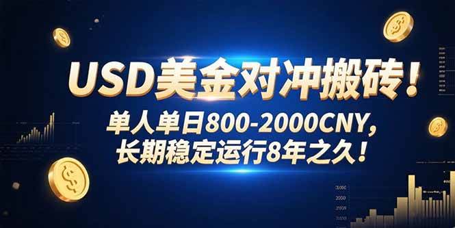 （15551期）USD美金对冲搬砖!单人单日800-2000CNY，长期稳定运行8年之久!-赚钱网
