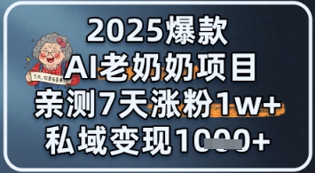 2025爆款 AI 老奶奶项目：亲测 7 天涨粉 1W+，私域变现 1k+-赚钱网