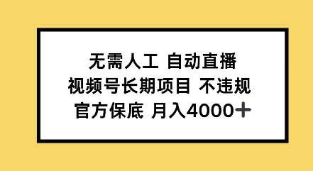 无需人工自动直播，视频号长期项目不违规，官方保底月入4000左右-赚钱网