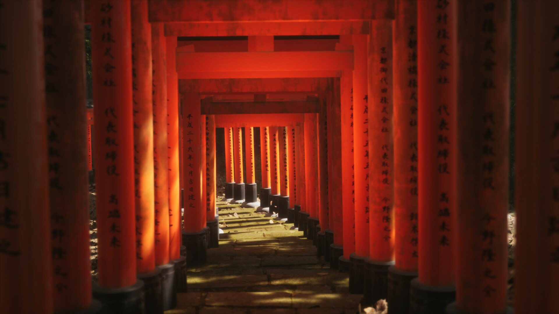 模拟美景摄影/Lushfoil Photography Sim插图1