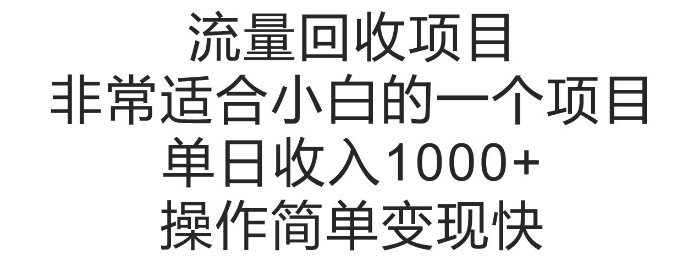 流量回收项目，非常适合小白的一个项目单日收入多张，操作简单变现快-赚钱网