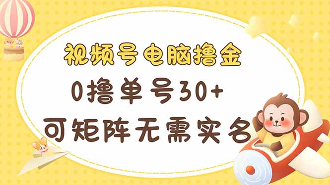 （14220期）视频号电脑撸金 0撸单号30+ 可矩阵 无需实名多号多得-赚钱网