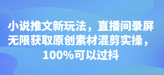 小说推文新玩法，直播间录屏无限获取原创素材混剪实操，100%可以过抖-赚钱网