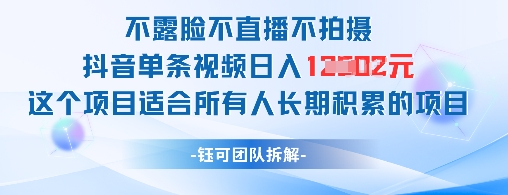 不露脸不直播不拍摄抖音单条视频日入1k+这个项目适合所有人长期积累的项目-赚钱网