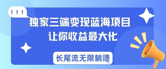 独家三端变现蓝海项目，让你收益最大化，长尾流无限躺挣-赚钱网
