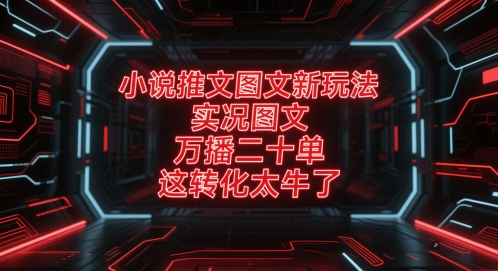 小说推文图文新玩法，实况图文，万播二十单，这转化太牛了！-赚钱网