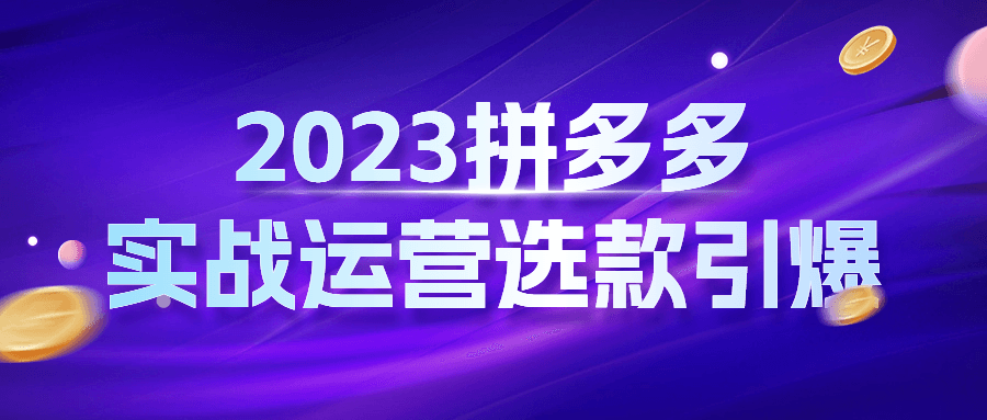 2023拼多多实战运营选款引爆-赚钱网