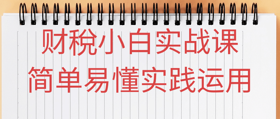 财稅小白实战课简单易懂实践运用-赚钱网