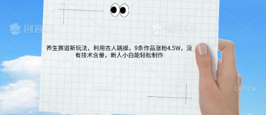 AI养生赛道新玩法，10条作品涨粉5.2W，操作简单，新人小白能轻松制作-赚钱网