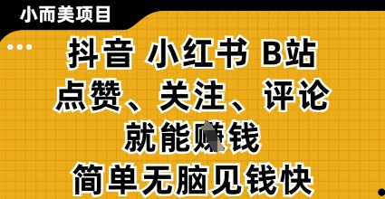 小而美的项目，抖音小红书B站视频点赞、关注、评论就能挣钱，简单无脑立见收益，妥妥的零撸项目【揭秘】-赚钱网