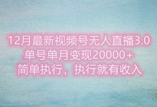 12月最新视频号无人直播3.0，单号单月变现过w，简单执行，执行就有收入-赚钱网