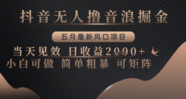 抖音无人撸音浪掘金，五月最新风口项目，当天见效，日收益多张，小白可做简单粗暴可矩阵【揭秘】-赚钱网