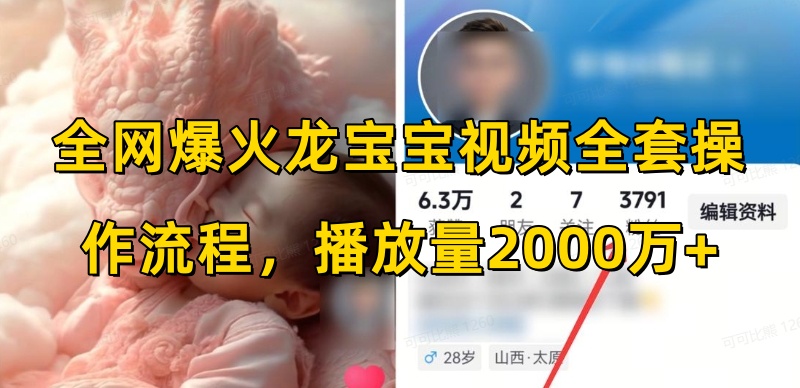 全网爆火龙宝宝视频全套操作流程，播放量2000万+-赚钱网
