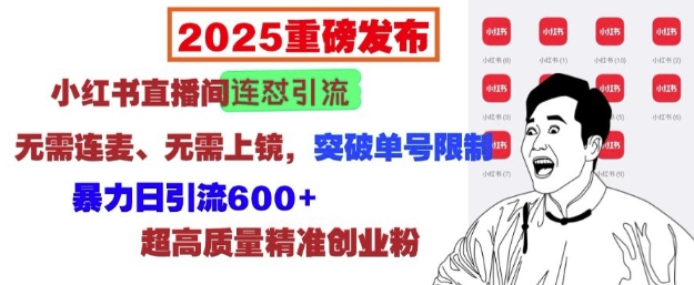 2025重磅发布：小红书直播间连怼引流，无需连麦、无需上镜，突破单号限制，暴力日引流600+-赚钱网