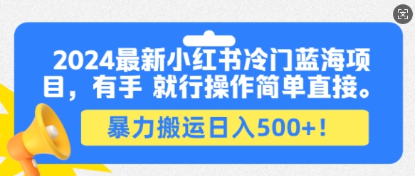 2024最新小红书冷门蓝海项目，有手就行操作简单直接，暴力搬运日入500+-赚钱网