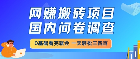 网创搬砖项目，国内问卷调查，小白轻松上手，一天三四张的也不难，干就完了【揭秘】-赚钱网
