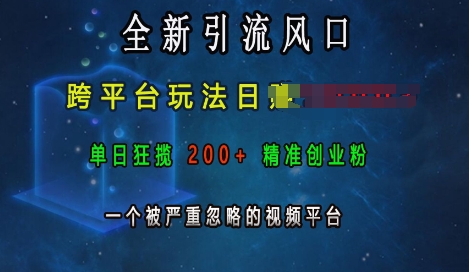 全新引流风口，跨平台玩法日入上k，单日狂揽200+精准创业粉，一个被严重忽略的视频平台-赚钱网