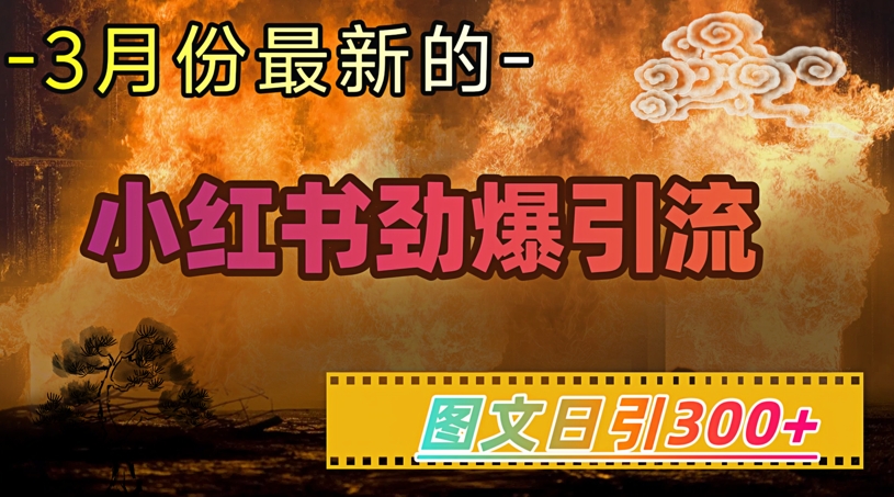小红书超劲爆引流手段，图文日引300+轻松变现1W-赚钱网