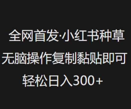 全网首发，小红书种草无脑操作，复制黏贴即可，轻松日入3张-赚钱网