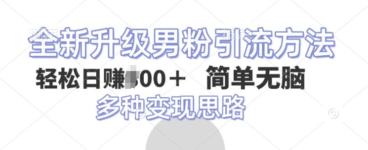 全新升级男粉引流方法，不需要真人出境，不需要你有才艺，二创风格 简单暴力-赚钱网