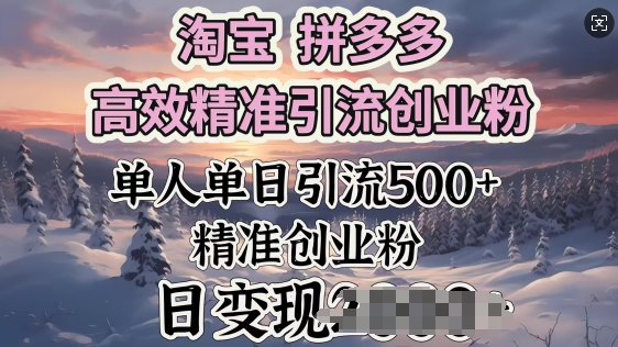 淘宝拼多多高效精准引流创业粉，单人单日引流500+创业粉，日变现多张-赚钱网