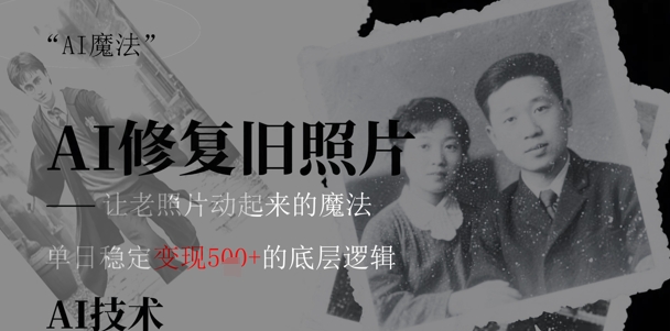 AI 魔法：让泛黄旧照变成朋友圈爆款视频，私域转化率提升50%，单日变现5张-赚钱网