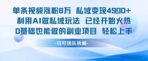 单条视频私域变现4.9k+利用AI做私域玩法 已经开始火热0基础也能做的副业项目轻松上手-赚钱网